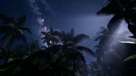 4K-Astro-of-Milky-Way-Galaxy-over-Tropical-Rainforest.